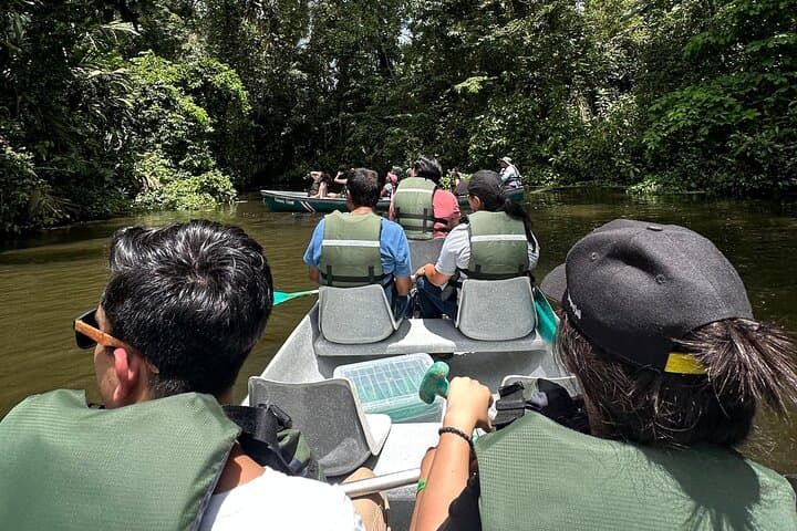 Private Tortuguero Canoe & Jungle Tour from San José — Quiet Canals, Wildlife and Cerro Views photo 5