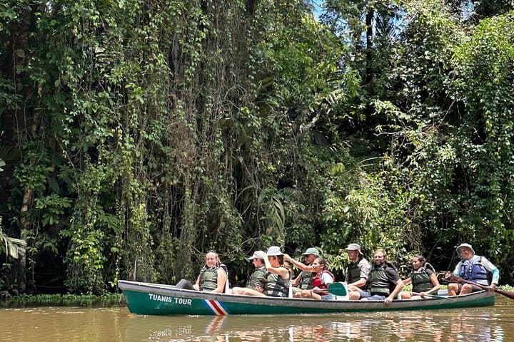 Private Tortuguero Canoe & Jungle Tour from San José — Quiet Canals, Wildlife and Cerro Views photo 6