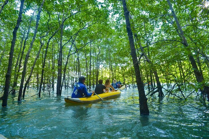 Sea Canoeing Phang Nga: James Bond Island, Koh Panyee & Cave Lagoons from Khao Lak