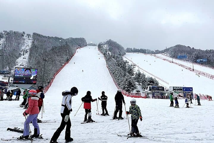 Vivaldi Park Ski Day Trip from Seoul — Gondolas, Slopes & Snowyland photo 2