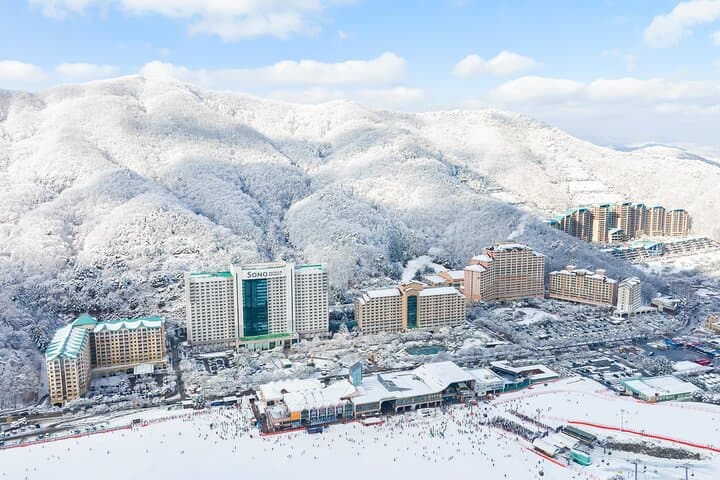 Vivaldi Park Ski Day Trip from Seoul — Gondolas, Slopes & Snowyland photo 5