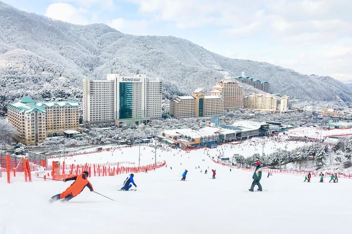 Vivaldi Park Ski Day Trip from Seoul — Gondolas, Slopes & Snowyland photo 6
