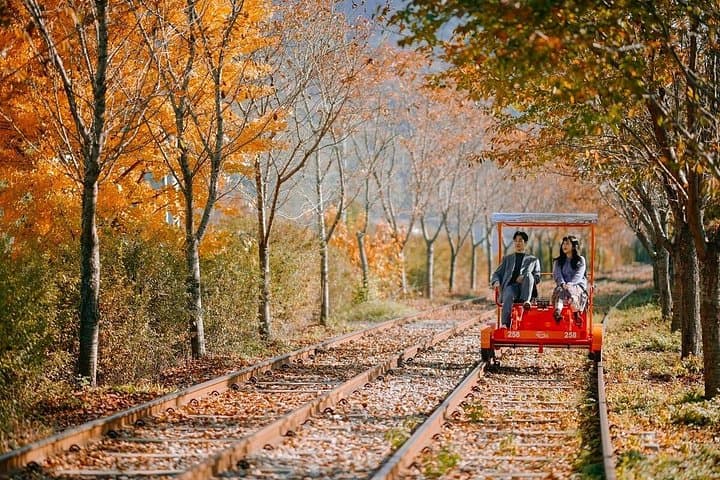 Nami Island Day Trip: Apple Picking, Gangchon Rail Bike & Starlight Garden photo 1