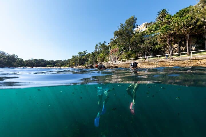 Manly Snorkel at Cabbage Tree Bay: Small-Group Guided Snorkeling & Headland Walk photo 3