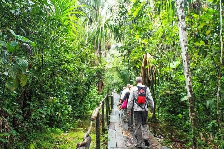 7-Day Amazon Rainforest Expedition in Tena, Ecuador — Rafting, Hikes & Kichwa Culture photo 5