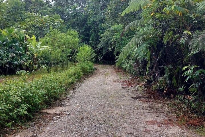 7-Day Amazon Rainforest Expedition in Tena, Ecuador — Rafting, Hikes & Kichwa Culture photo 6