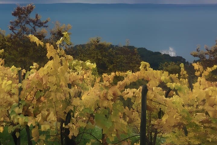 Coastal Walks and City Secrets: Trieste via Via Napoleonica & Miramare photo 4