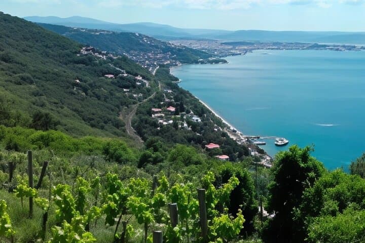 Coastal Walks and City Secrets: Trieste via Via Napoleonica & Miramare photo 6