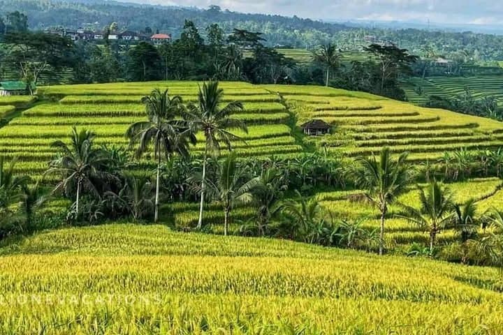 Tanah Lot, Jatiluwih Rice Terrace & Banyumala Waterfall Day Tour from Ubud photo 2