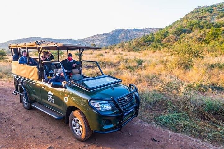 Pilanesberg Big Five Safari — Full-Day Guided Game Drive from Johannesburg photo 1