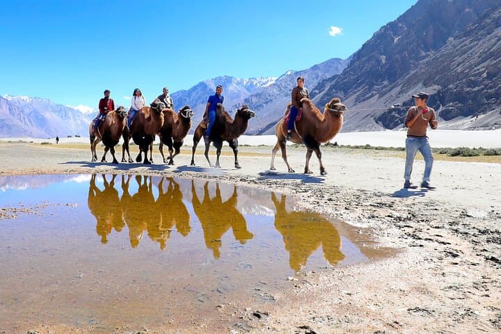 Khardung La to Nubra Valley: Overnight Camp, Hunder Dunes & Diskit Gompa photo 5