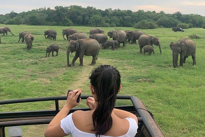 Discover Sri Lanka: A Personalized Multi-Day Adventure photo 3