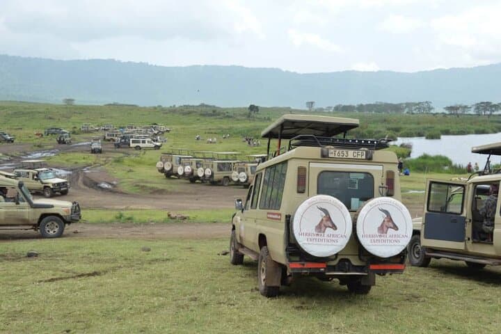 4-Day Serengeti & Ngorongoro Camping Safari from Arusha photo 2