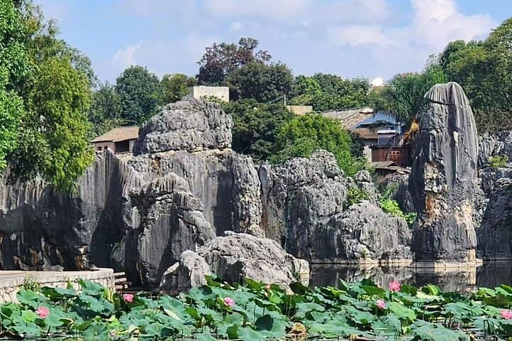 Explore Kunming's Stone Forest: One-Day Guided Tour to Shilin Geopark photo 4