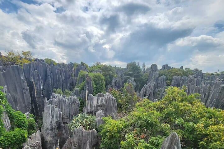 Explore Kunming's Stone Forest: One-Day Guided Tour to Shilin Geopark photo 5