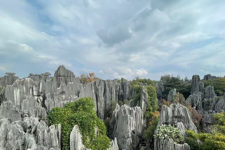 Explore Kunming's Stone Forest: One-Day Guided Tour to Shilin Geopark