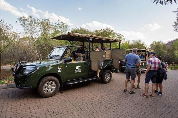Pilanesberg Big Five Safari — Full-Day Guided Game Drive from Johannesburg photo 3
