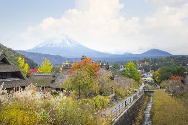 Private Mt. Fuji Hidden Gems & Aokigahara Forest Tour - Custom 10-Hour Experience photo 4