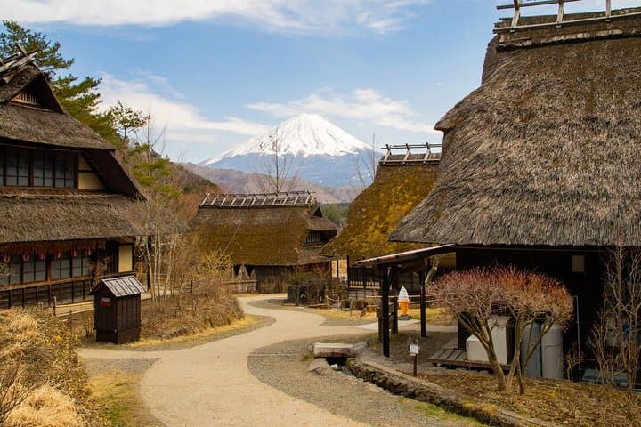 Private Mt. Fuji Hidden Gems & Aokigahara Forest Tour - Custom 10-Hour Experience photo 5