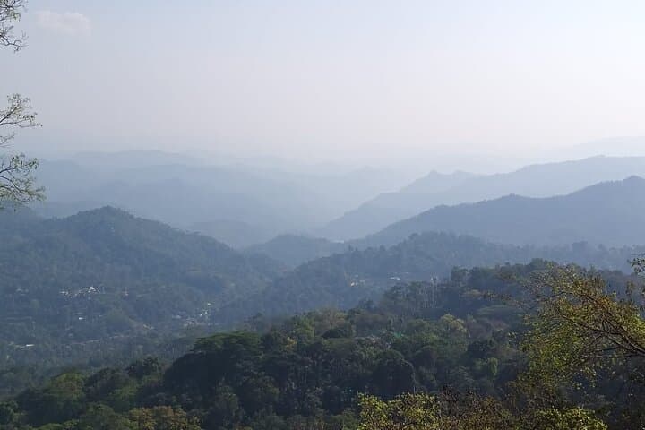 Munnar 3-Day Private Sightseeing from Madurai — Tea Estates, Eravikulam & Mattupetty photo 5