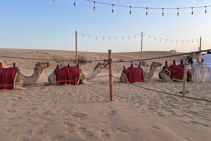 Sunset Desert Safari in Dubai: Quad Biking, Dune Bashing & Evening BBQ photo 4