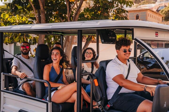 Valencia Tuk-Tuk City Tour: 1-Hour Private Tuk-and-Flow Experience