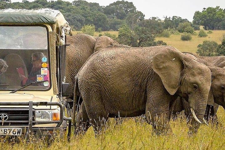 3-Day Safari to Samburu National Reserve from Nairobi photo 4