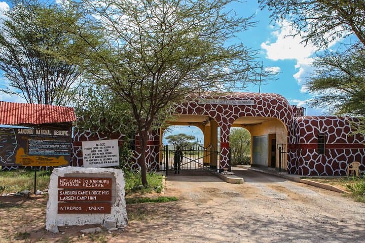 3-Day Ol Pejeta & Samburu Big Five Safari — Northern Kenya Wildlife Expedition photo 4