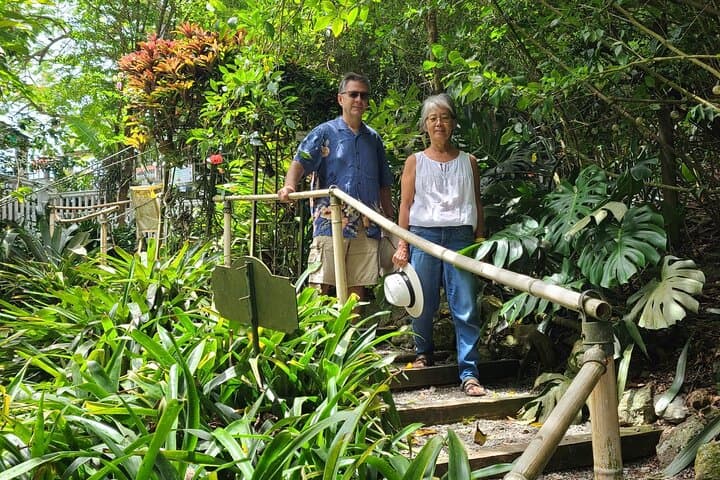 Phantasea Tropical Botanical Garden: St. Thomas Nature Walk & Orchid Collection