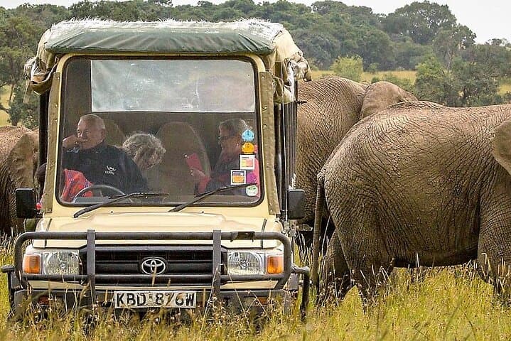 3-Day Ol Pejeta & Samburu Big Five Safari — Northern Kenya Wildlife Expedition photo 2