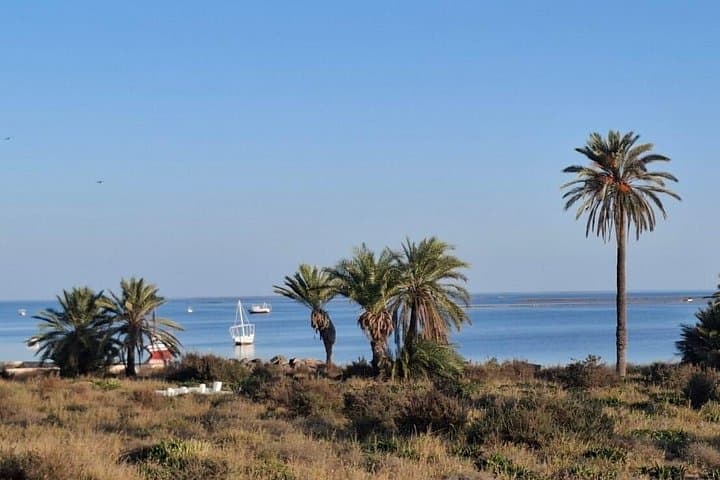 Kerkennah to El Biben: 4-Day Islands, Lagoons & Fishing Culture Escape