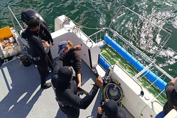 Shark Cage Diving at Seal Island — Cape Town False Bay Adventure photo 3