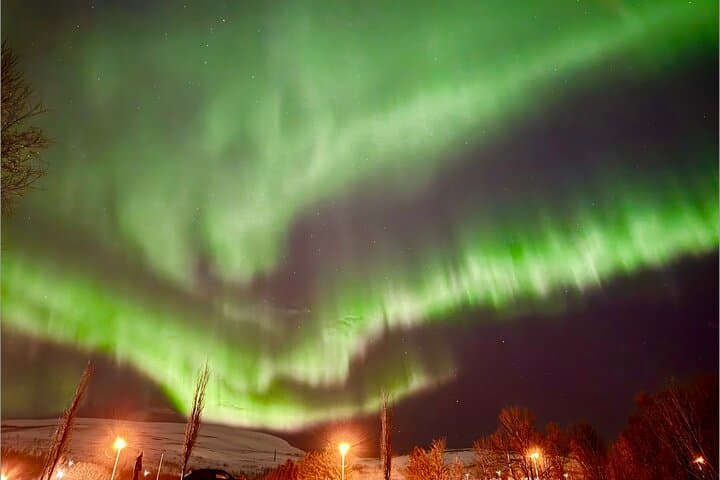 Tromsø to Senja and Lofoten: 4-Day Scenic Coastal Adventure photo 1