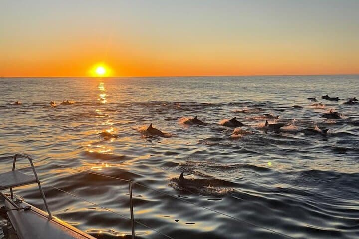 Cape Town Sunset Sail: 90‑Minute Escape Cat Cruise Under Table Mountain