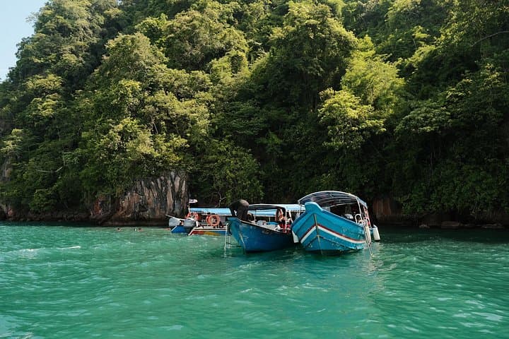 Langkawi Mangrove Tour: Kilim Karst Boat Cruise, Eagle Watching & Cave Walks