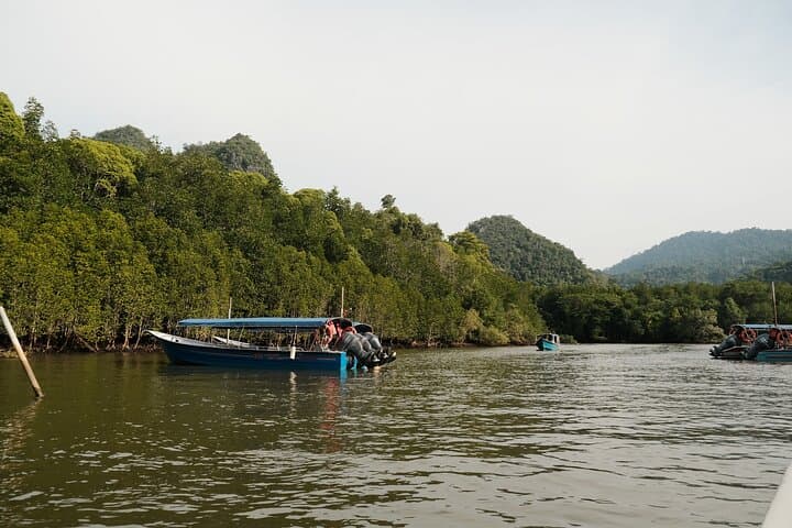 Private Mangrove Boat Tour: 2-Hour Kilim Geoforest Exploration, Langkawi