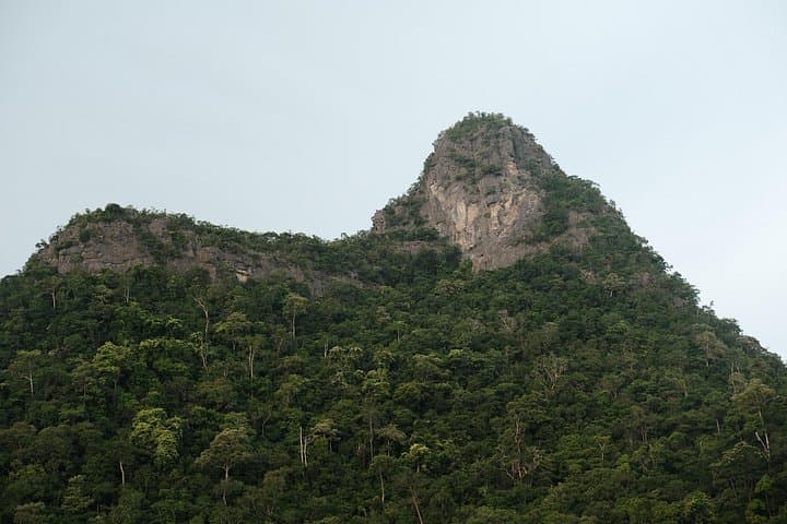 Langkawi Mangrove Tour: Kilim Karst Boat Cruise, Eagle Watching & Cave Walks photo 3