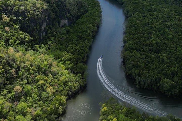 Langkawi Mangrove Tour: Kilim Karst Boat Cruise, Eagle Watching & Cave Walks photo 4
