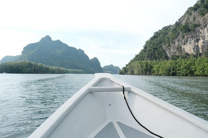 Langkawi Mangrove Tour: Kilim Karst Boat Cruise, Eagle Watching & Cave Walks photo 5
