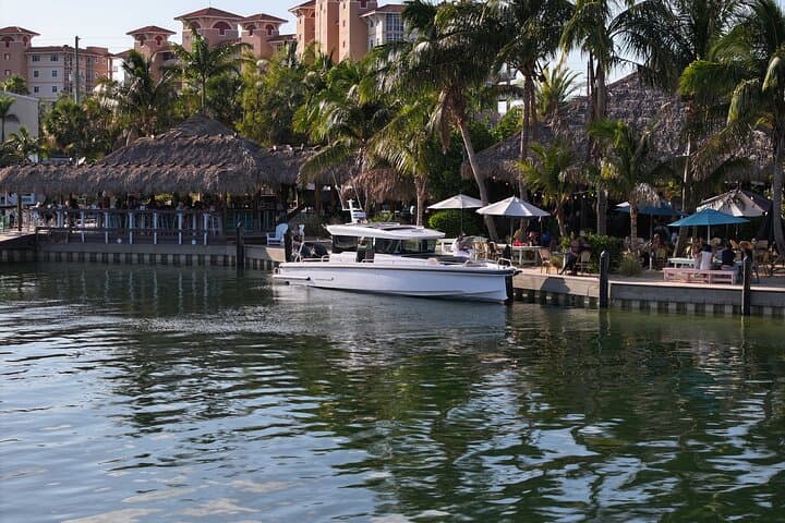 Half-Day Luxury Boat Tour from Bradenton: Snorkel Johns Pass, Shell Key & Beer Can Island photo 3