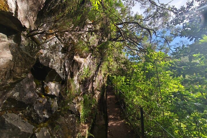 Caldeirão Verde Levada Walk (PR9) — Self-Guided from Santana, Madeira photo 6