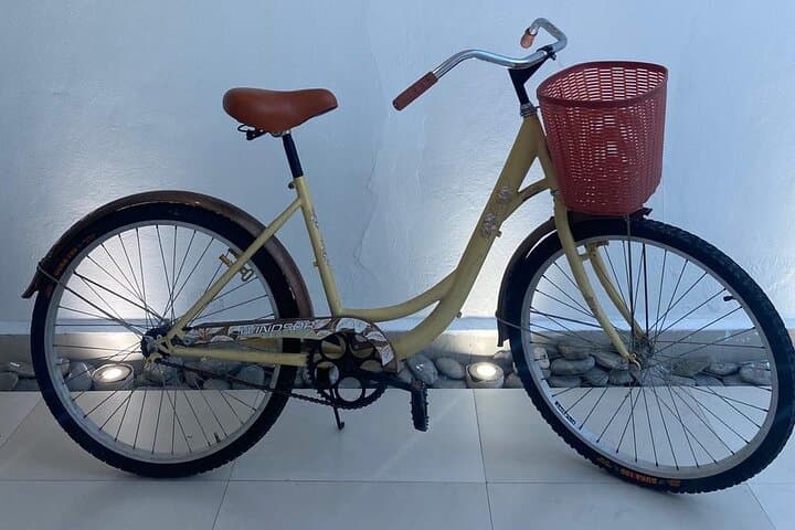 Isla Mujeres Bike Rental — Explore the Island by Bicycle photo 3