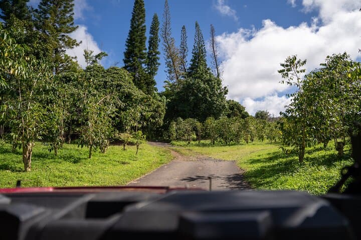 ATV Adventure at Buddha Cup Coffee Farm on Hawaii Big Island photo 2