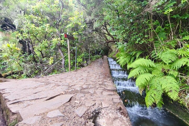 Rabacal Hike: Levada das 25 Fontes & Risco Waterfall Self-Guided Day Trip photo 2