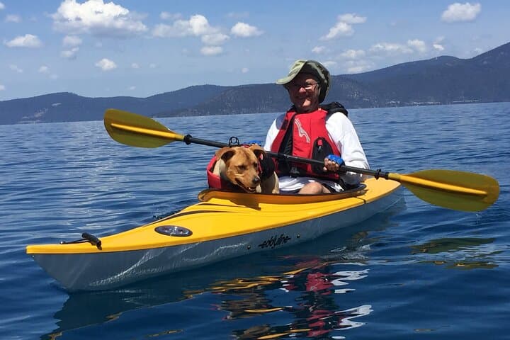 Exploring South Lake Tahoe: A 3-Hour Single Kayak Journey on Crystal Waters photo 5