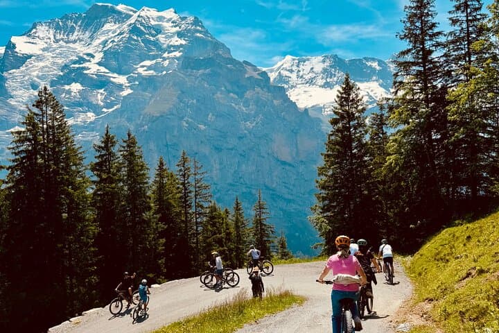Lauterbrunnen E-Bike Tour: Trümmelbach Waterfalls & Mürren Views