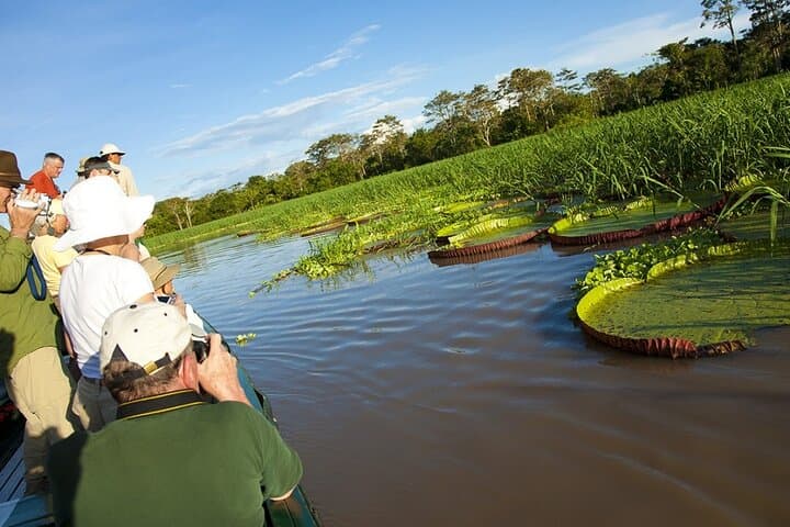 3-Day Amazon River Adventure in Pacaya Samiria Reserve from Iquitos photo 3