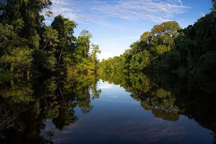 3-Day Amazon River Adventure in Pacaya Samiria Reserve from Iquitos photo 5
