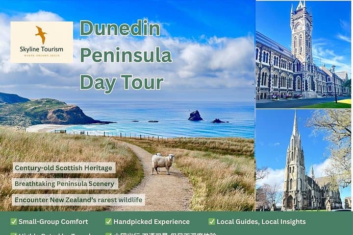 Private Dunedin & Otago Peninsula Day Tour: Albatross, Coastal Views & City Sights photo 2