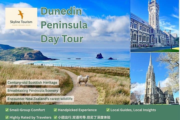 Dunedin and Otago Peninsula Day Tour: Albatross, Sandfly Bay & City Sights photo 3